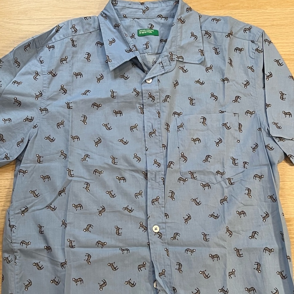 Blue Zebra Button Down Short Sleeve Shirt